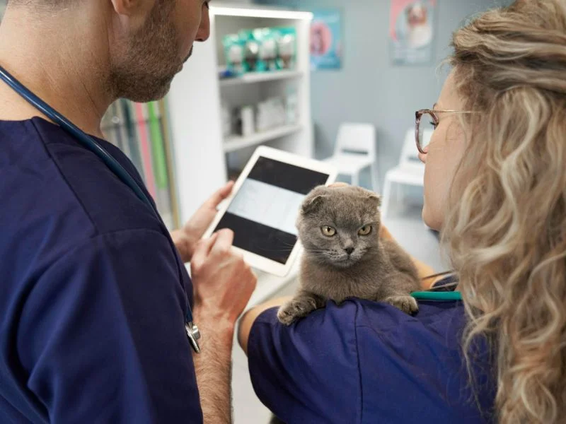 software veterinario